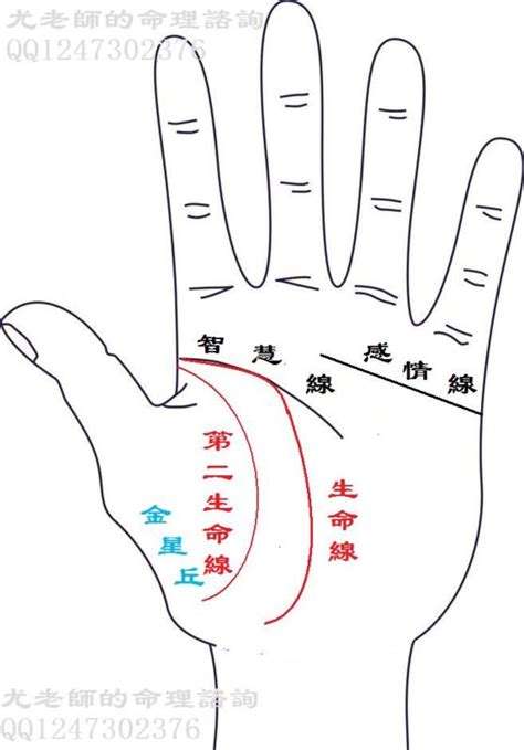 生命線有兩條|多數人只有一條生命線，解密兩條生命線代表什麼？